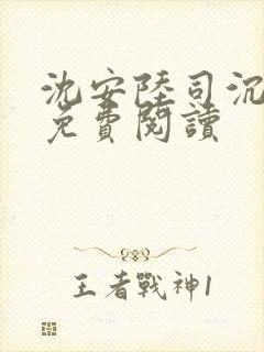 沈安陆司沉小说免费阅读