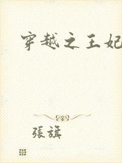 穿越之王妃有孕