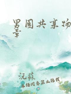 男团共享物第一章