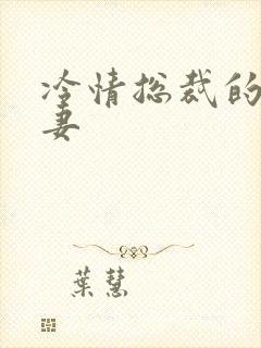 冷情总裁的出逃妻