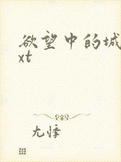 欲望中的城市txt