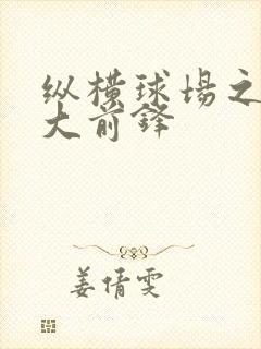 纵横球场之暴力大前锋