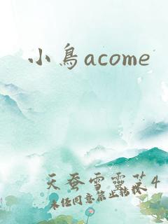 小鸟acome