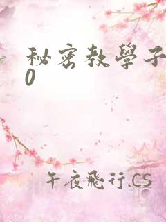 秘密教学子豪40