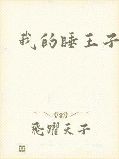 我的睡王子殿下