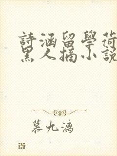 诗涵留学荷兰被黑人摘小说