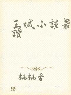 王城小说最近阅读