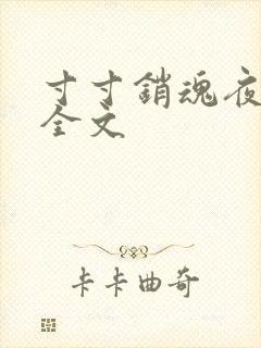 寸寸销魂夜春光全文