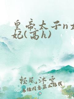 皇帝太子n太子妃(高h)