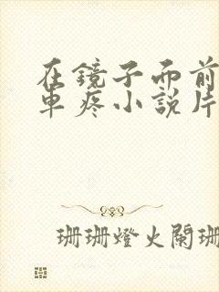 在镜子面前做开车疼小说片段