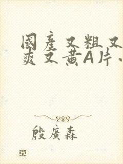 国产又粗又猛又爽又黄A片小说