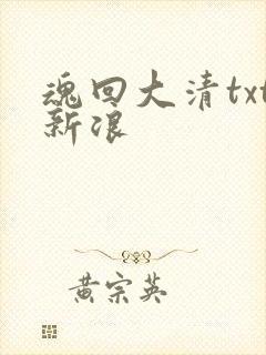 魂回大清txt新浪