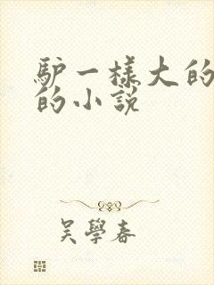 驴一样大的凶器的小说