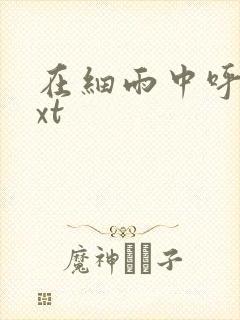 在细雨中呼喊txt