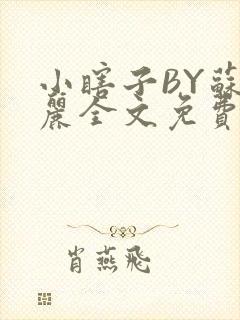 小瞎子BY苏玛丽全文免费笔趣阁