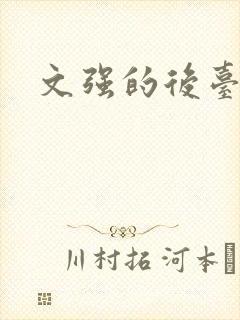 文强的后台是谁