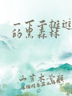 一下子挺进浓密的黑森林