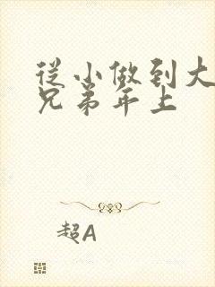 从小做到大骨科兄弟年上