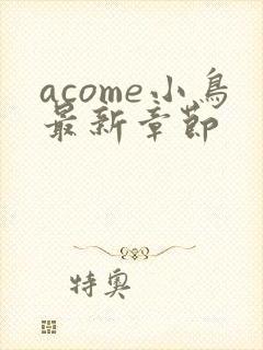 acome小鸟最新章节