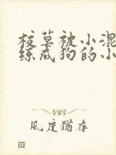 校草被小混混训练成狗的小说