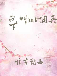 我叫mt佣兵天下