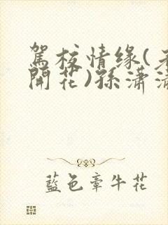 驾校情缘(老树开花)孙潇潇笔趣阁