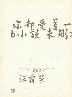 你却爱着一个sb小说 未删减完整版百度云