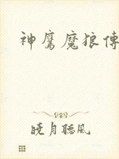 神鹰魔狼传