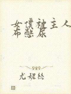 女仆被主人用胶布憋尿