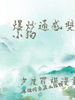 爆炒通感双胞胎小狗