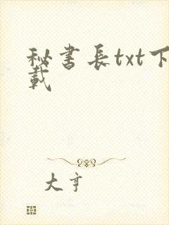秘书长txt下载