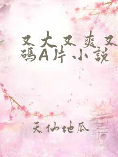 又大又爽又黄无码A片小说