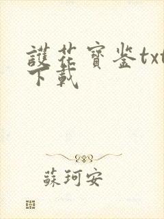 护花宝鉴txt下载