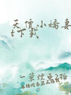 天价小娇妻txt下载