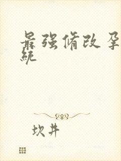 最强修改孕妇系统