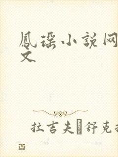 凤瑶小说网高辣文