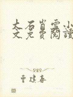 大石肖雪小说全文免费阅读