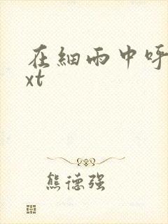 在细雨中呼喊txt