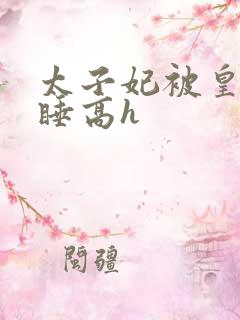 太子妃被皇上强睡高h