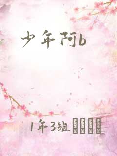 少年阿b
