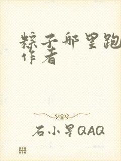 粽子哪里跑小说作者