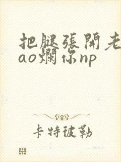 把腿张开老子cao烂你np