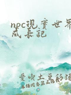 npc现实世界成长记