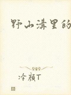 野山沟里的村庄