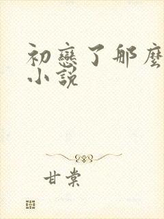 初恋了那么多年小说