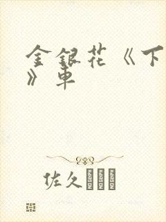 金银花《下厨房》车