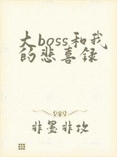 大boss和我的悲喜录