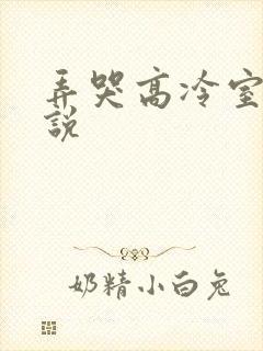 弄哭高冷室友小说