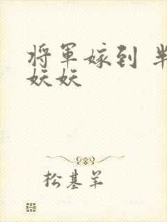 将军嫁到 半袖妖妖