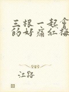 三根一起会坏掉的好痛红梅